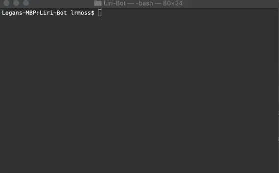 LIRI Bot GIF